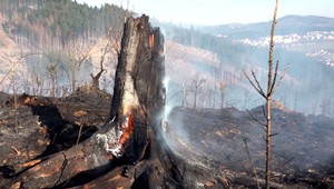 FOTO: Nad dedinou vypukol lesný požiar. Na mieste zasahovalo viac ako 30 hasičov