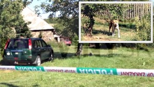 Mladá žena venčila pitbulla, dohrýzol ju na smrť!