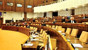 Poslanci sprísnia držanie a predaj expanzných zbraní a streliva