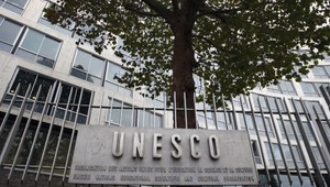 Naše bukové lesy sú v zozname UNESCO. Hrozí im vyškrtnutie