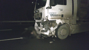 Mimoriadne nebezpečná situácia na R1: Črieda kráv prekvapila vodičov