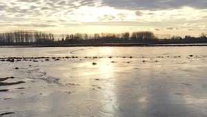 Raj pre korčuliarov, nočná mora pre poľnohospodárov: Zamrznuté polia spôsobujú vysoké škody