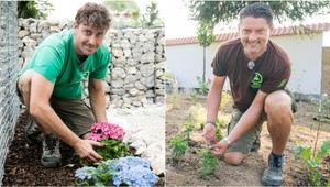 Aké sú trendy v kvetinových záhonoch? TOTO si ľudia najčastejšie želajú od Novej záhrady!
