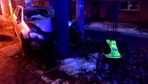 Vodič dostal šmyk, skončil v strome