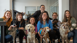 Noví asistenti výsluchu: Polícia v Prahe nasadzuje vycvičených rozkošných psíkov