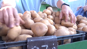 Domáce zemiaky pána Vaňa si obľubujú ľudia zo širokého okolia