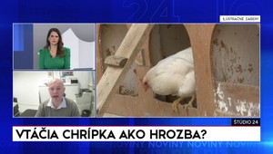 Štúdio 24: Vtáčia chrípka ako hrozba?