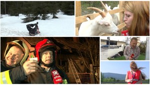 Pozrite si tie najlepšie brbty reportérov TV JOJ v roku 2013!