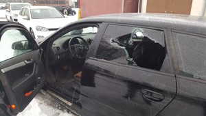 Počas protidrogovej akcie zastrelili policajti v rodinnom dome psa