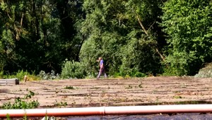 Na 23 kilometrovom úseku tiekla v Hrone čierna voda, uhynuli kapry, šťuky aj kráľovné riek - hlavátky