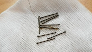 Krutým spôsobom sa niekto chce zbaviť psov. V parku rozhadzuje návnady plné klincov