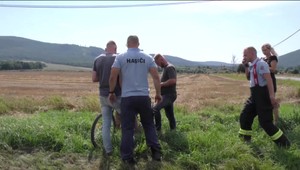 Chlapec (11) sa stratil v lese: Pozrite si autentické zábery tesne po jeho nájdení