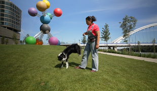 Česko Slovensko má talent