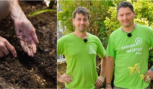 Využite aktuálne slnečné počasie: Túto zeleninu môžete vo svojej záhrade posadiť už teraz!