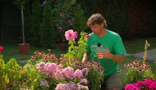 Reorganizácia úžitkovej a okrasnej záhrady