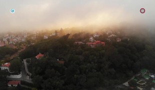 Nový život III.