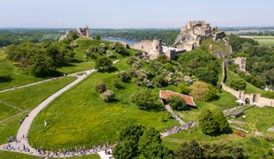 Úvodný pretek Behaj lesmi na Devíne lámal rekordy: Pre Leušku sme vyzbierali úžasnú sumu.