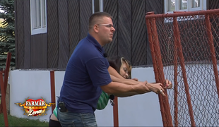 Farmár hľadá ženu