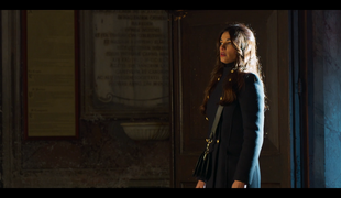 Indigová ako rozhodnutia