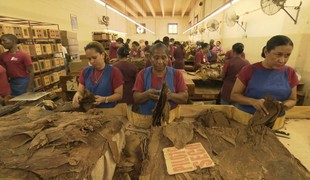 Geissenovci - Ťažký život milionárov