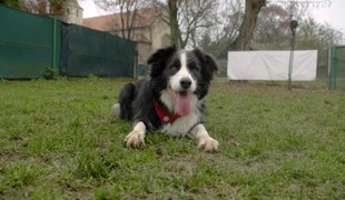 Bodka v ohrození života! Po útoku zmešká aj vlastnú svadbu?!