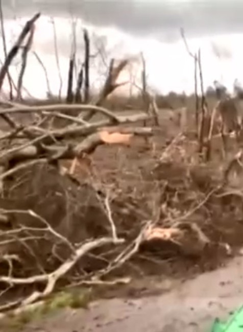 VIDEO: Ničivé tornádo zasiahlo Alabamu. Vyžiadalo si najmenej 22 životov