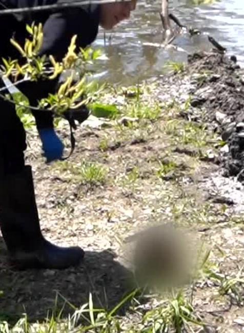 [multi] KN Mrtvy nezvestný 18- ročný mladík 8711