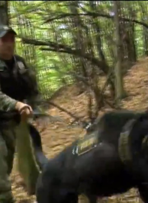 Praktiky prevádzačov cez Slovensko-ukrajinskú hranicu sú kruté. Policajti nachádzajú ľudské pozostatky