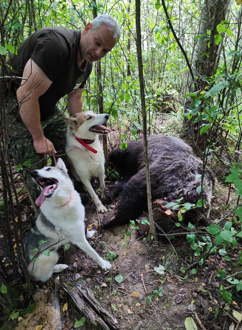 zastrelený medveď