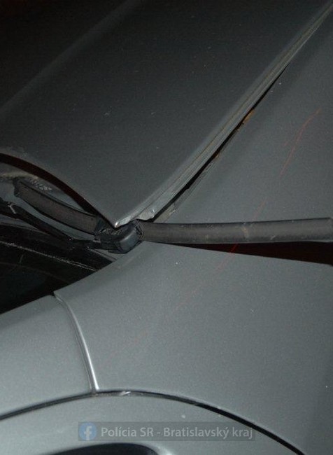 322174056_858123178670936_6781676327353418023_n