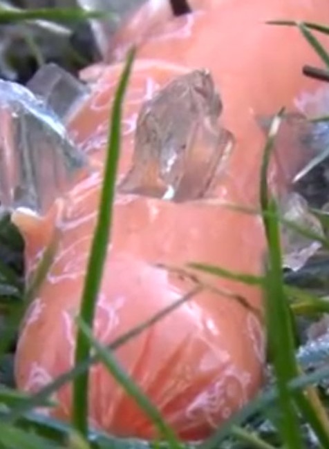 Párok so sklom ako návnada