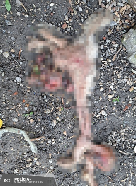 431548448_814492240716346_7304117701834445750_n