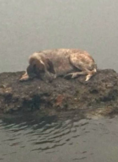 Ničivé požiare v Grécku