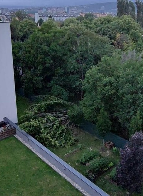 vietor v noci lámal stromy