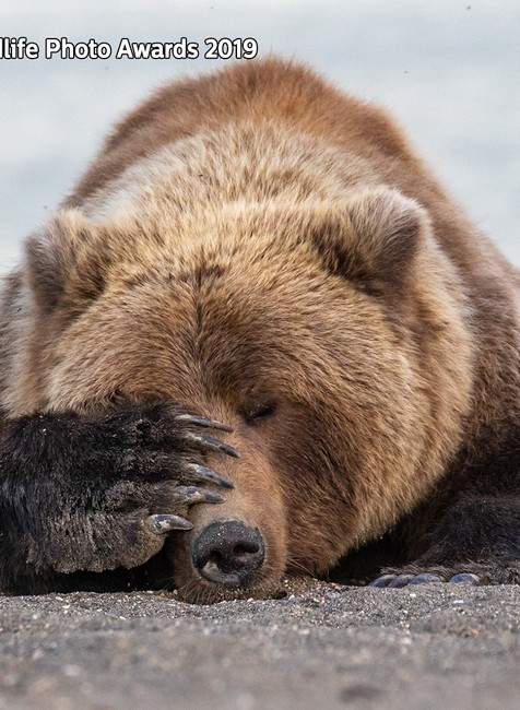 Veselé tváre prírody 