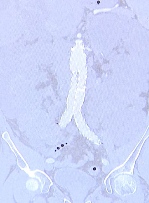 Screenshot 2024-08-10 094507