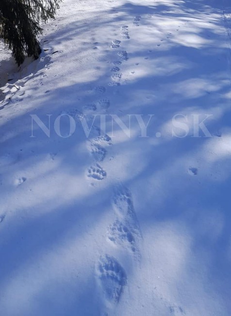 334260790_421470053529087_8019640099299901129_n