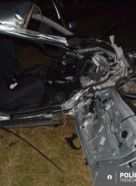 Vodič narazil do stromu