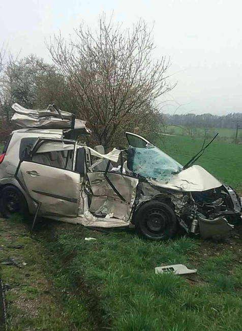 339121262_596022832577067_1483558028168204098_n