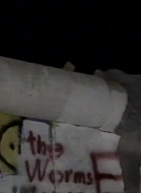 Pád Berlínskeho múra zažil aj Slovák zo Sniny. Namaľoval naň obraz, ktorý je na pohľadniciach