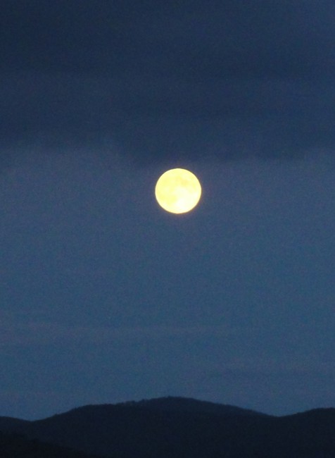 13.8.2013 som fotil vychádzajúci mesiac nad Považským Inovcom. V sérii 8 fotografii som náhodou objavil niečo čo si neviem vysvetliť. Fotka na ktorej je tmavý objekt pod mesiacom je urobná 30 sekúnd po fotke na ktorej nie je nič a tak isto na fotke uroben
