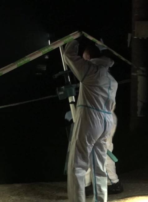 [multi] 041925QJS 11307