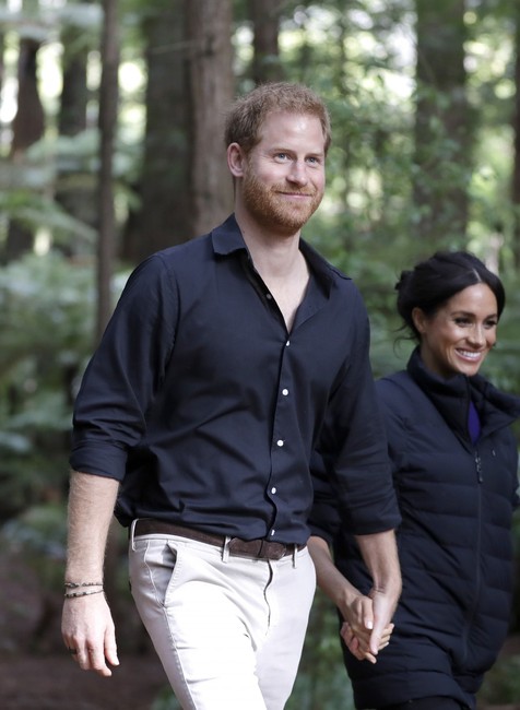 Harry a Meghan v buši