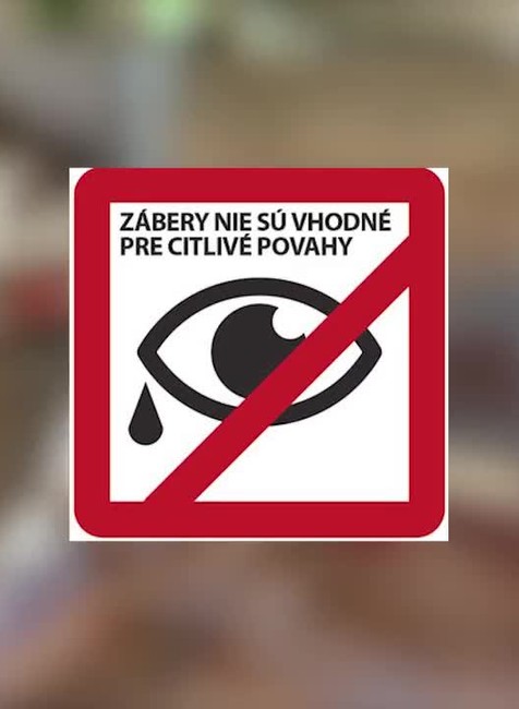 [multi] Psie zápasy 14041