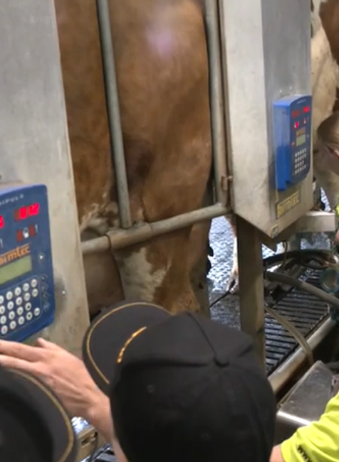 Screenshot 2024-05-19 092207