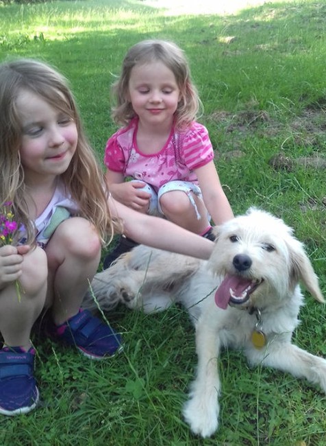 Pomôžte Saške a Lenke, ktoré už od nedele smútia. Stratila sa ich verná Meya