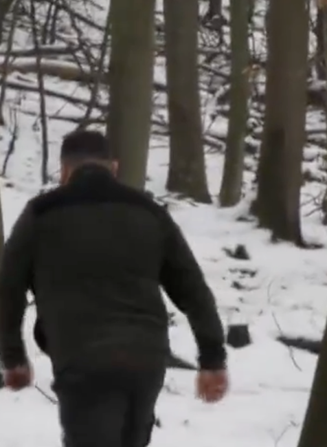 Zastrelené psy v Snine