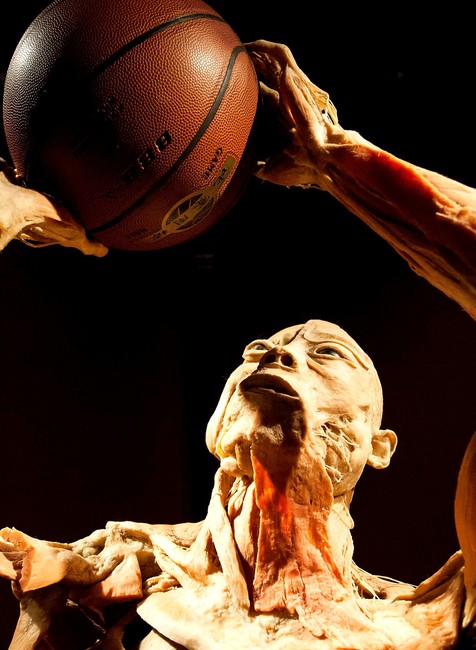 Human Body výstava Incheba