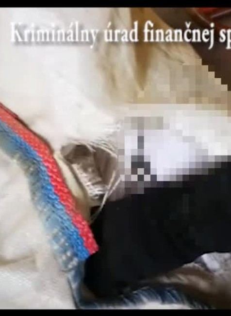 Finančná správa razia v Košiciach8246