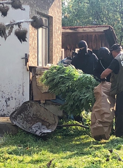 Kukláči zadržali Ludvíka (36). V záhrade za domom mal pestovať marihuanu